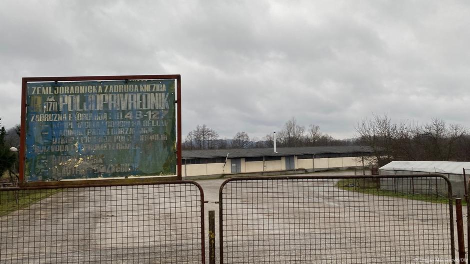 Zemljoradnička zadruga u Knežici je 1990. bila domaćin smotre rekordera u poljoprivrednoj proizvodnji u bivšoj Jugoslaviji, a danas su tu samo prazna skladišta