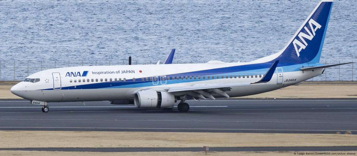 航空機・ヘリコプター JAPAN AIRLINES BOEING 737-800 1:100 Boeing737-800 (738/73H) / Aircrafts and seats - JAL