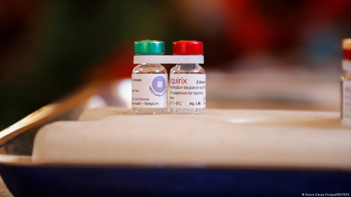 Hallan una clave inesperada en la lucha contra la malaria – DW – 08/02/2024