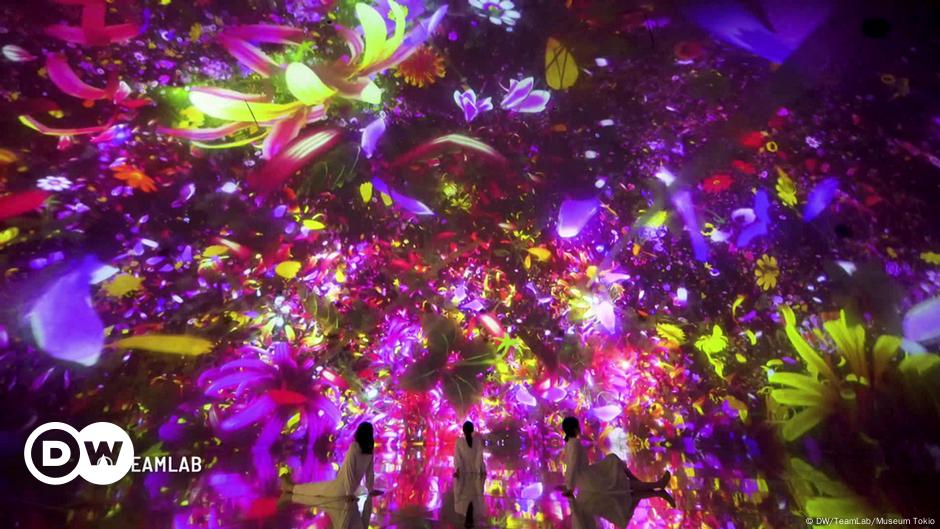 Why Our Brains Love Immersive Art – DW – 01/26/2024