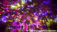 Why Our Brains Love Immersive Art – DW – 01/26/2024