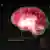 Computeranimation des menschlichen Gehirns