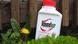 A bottle of Roundup weedkiller sits in a garden A bottle of Roundup weedkiller sits in a garden