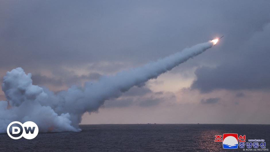 South Korea detects another cruise missile launch by North – DW – 01/30 ...