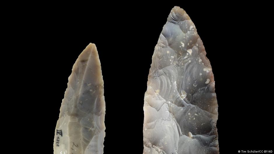 Homo sapiens made it to northern Europe 45,000 years ago – DW – 02/01/2024 - Vimarsana News