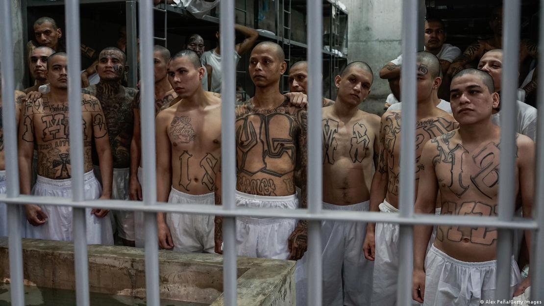Un grupo de presuntos miembros de pandillas salvadoreñas recluidos en el CECOT. Un grupo de presuntos miembros de pandillas salvadoreñas recluidos en el CECOT.