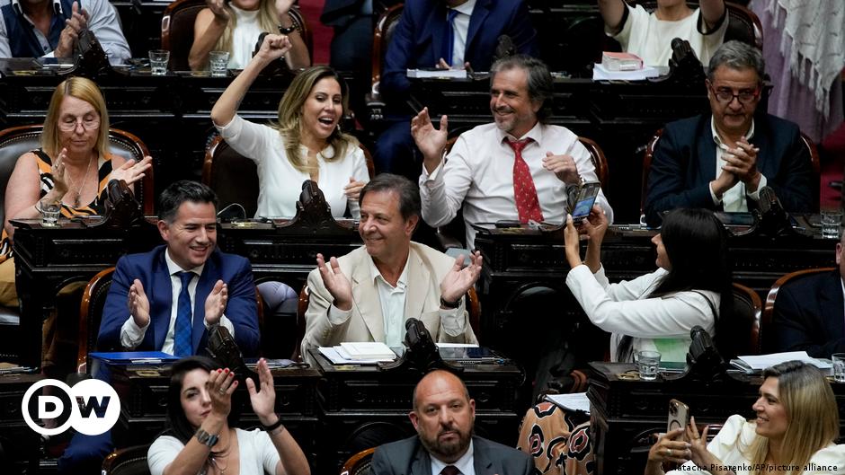 Argentinisches Parlament billigt Mileis Reformpaket