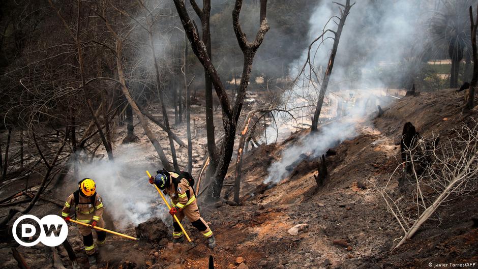 Asciende a 99 el número de muertos por los incendios forestales en Chile – DW – 05/02/2024