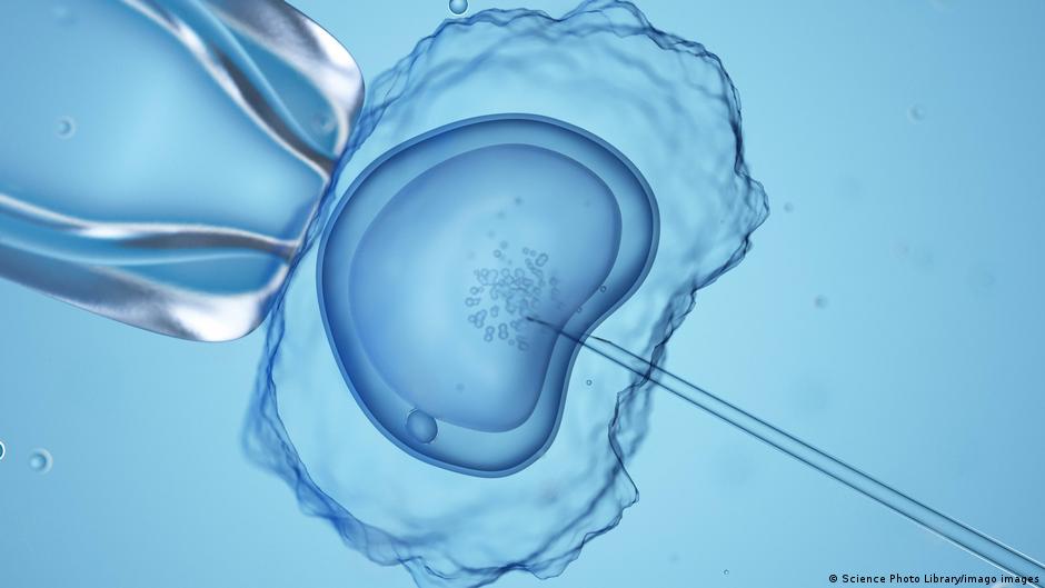 Germany's reproductive medicine laws called 'shockingly unjust' as surrogacy and egg donation remain banned