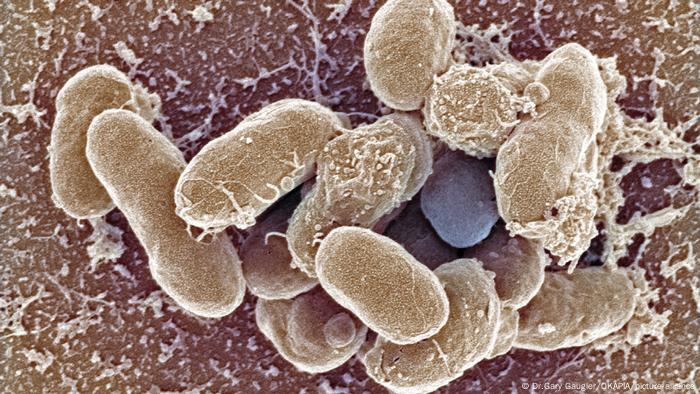 Inteligência artificial: a nova arma na luta contra a resistência a antibióticos