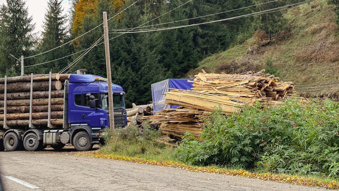 Kamionë që transportojnë lëndë drusore në rajonin e Suceavas, Rumani