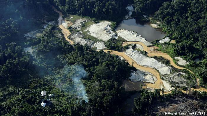 Narcotráfico está acelerando a destruição da Amazônia
