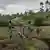 Images de milices APCLS en RDC