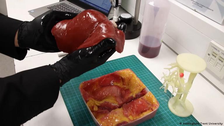 洋書 Cell and Organ Printing Bioprinting: 3D printing with living cells