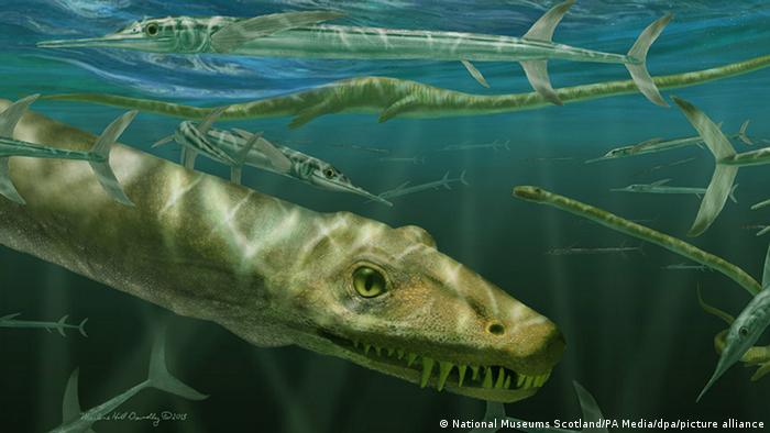 Cientistas apresentam "dragão chinês" de 240 milhões de anos