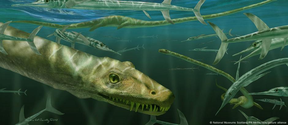 O Dinocephalosaurus orientalis era um réptil marinho parecido com um dragão que se alimentava de peixes