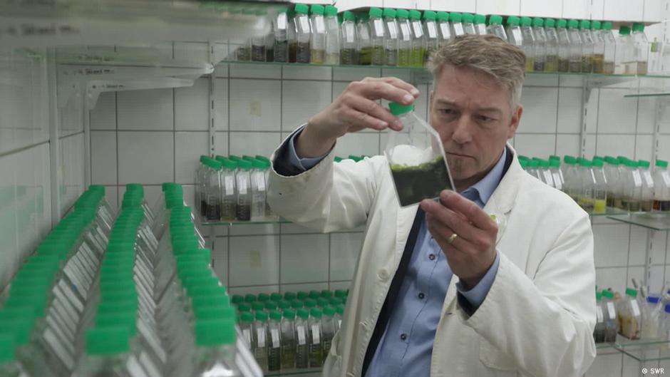 Hope Is Green Can Algae Save The World