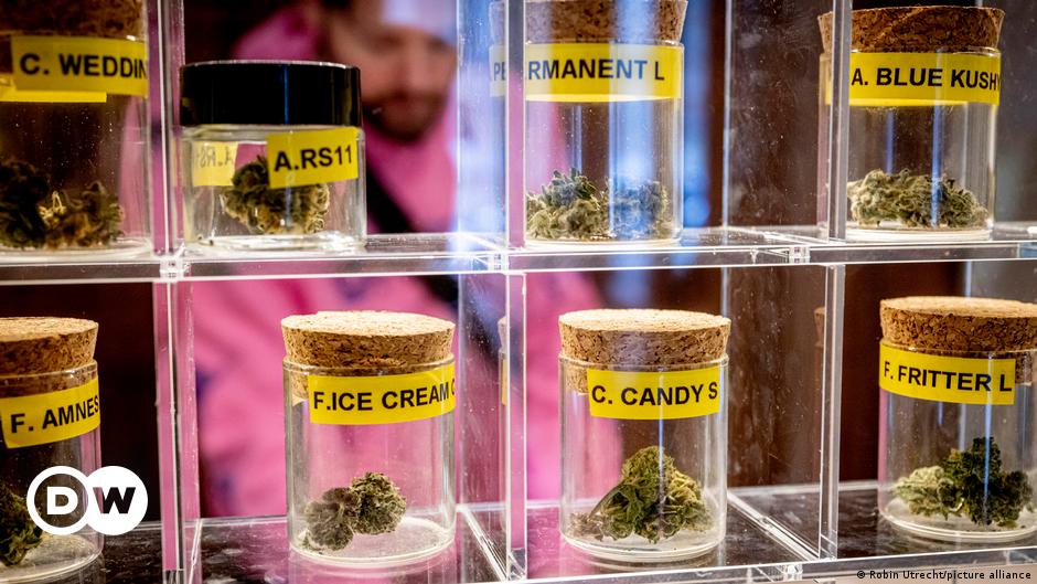 Die Gewinner der Cannabis-Legalisierung in Deutschland
