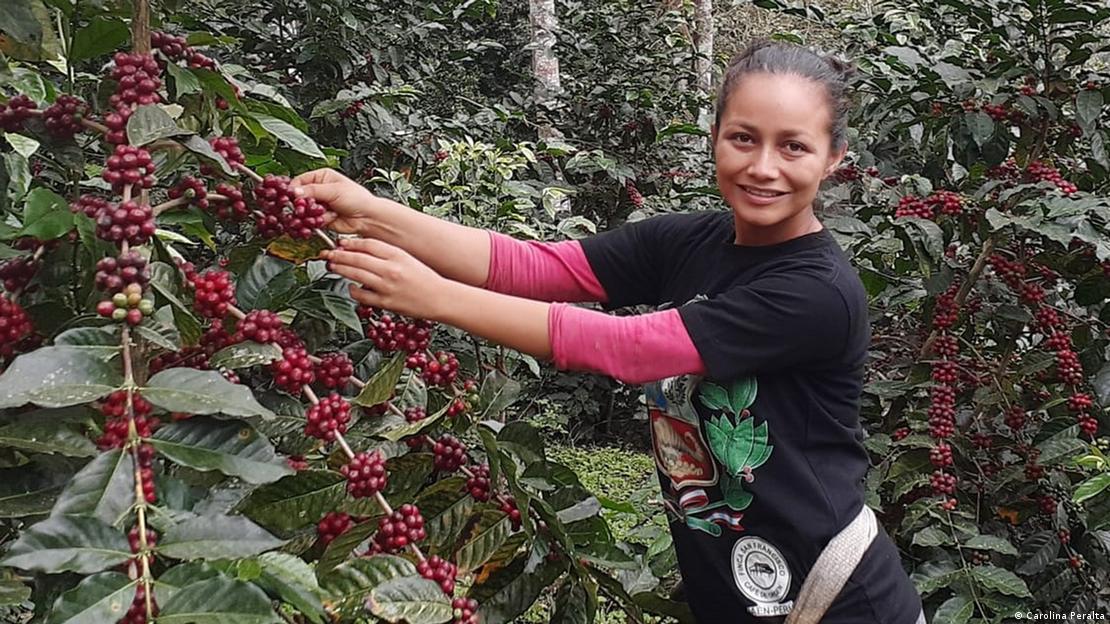 Παραγωγός σε φυτεία καφέ στο Περού