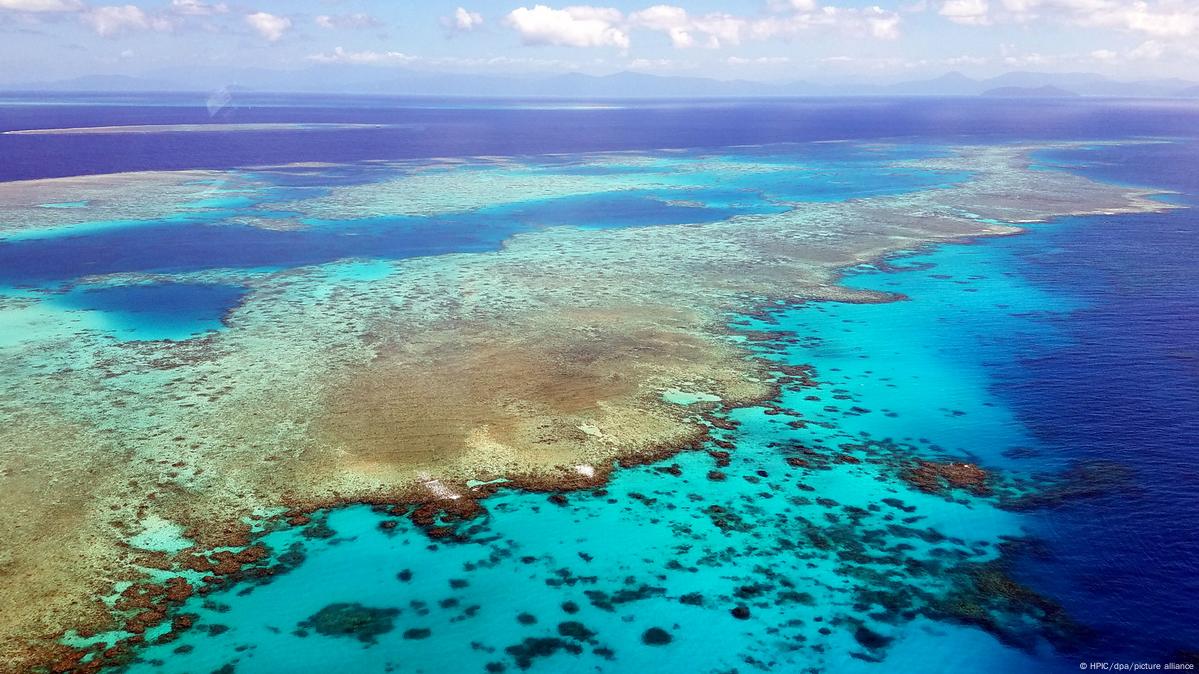 Great Barrier Reef suffers 'mass bleaching event' – DW – 03/08/2024