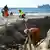 Arbeiter bei der Verlegung eines Seekabels an der französischen Mittelmeerküste
