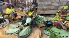 Nigeria Leaves