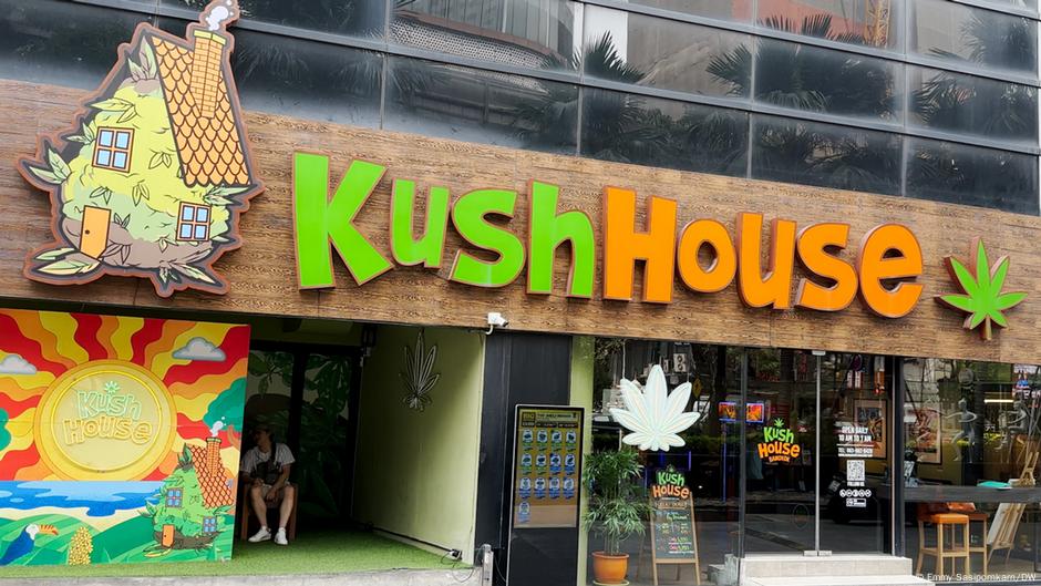 Why Thailand plans to ban recreational weed – DW – 03/12/2024