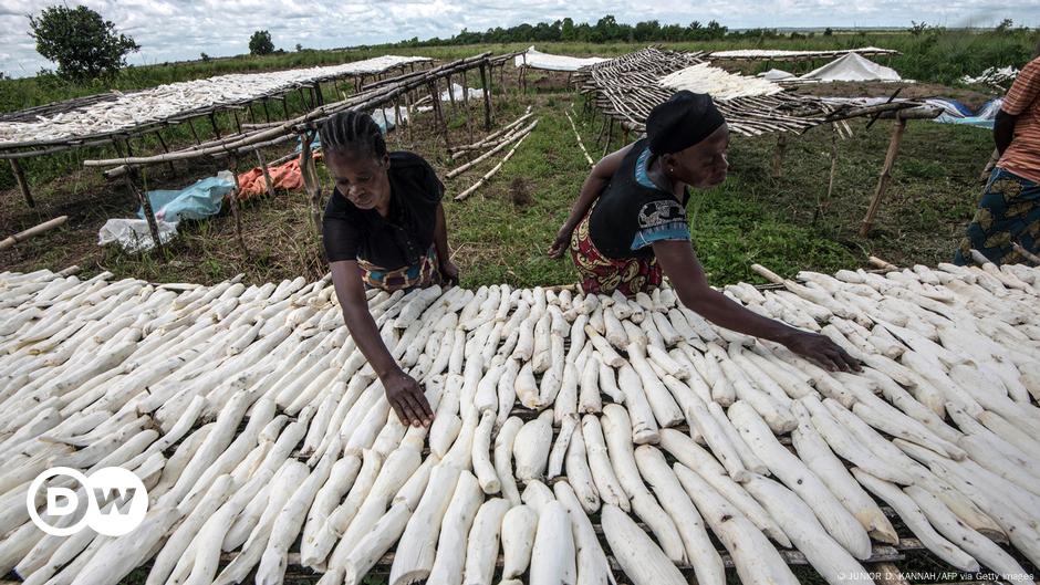 RDC : des réformes pour moderniser l'agriculture