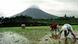 Rice farmers work under the Mayon Volcano which has been relatively quiet after violent eruptions several days ago Wednesday, June 27, 2001 in Bonga, about 330 kilometers (200 miles) southeast of Manila. Local Volcanologists said Wednesday that although the risk of another major eruption over the next few days has lessened, there is still danger of mud slides from the volcano as the Philippines enters the rainy season.(AP Photo/Nelson Salting) Rice farmers work under the Mayon Volcano which has been relatively quiet after violent eruptions several days ago Wednesday, June 27, 2001 in Bonga, about 330 kilometers (200 miles) southeast of Manila. Local Volcanologists said Wednesday that although the risk of another major eruption over the next few days has lessened, there is still danger of mud slides from the volcano as the Philippines enters the rainy season.(AP Photo/Nelson Salting)