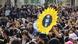 2014 studierte Tausende von Studenten in Taiwan für mehr Demokratie. Ihr Symbol ist die Sonnenblume, die von den Demonstranten hochgehalten wird 2014 studierte Tausende von Studenten in Taiwan für mehr Demokratie. Ihr Symbol ist die Sonnenblume, die von den Demonstranten hochgehalten wird