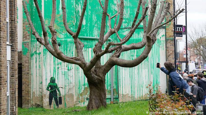 Na nova obra de Banksy, a tinta verde se alinha com os galhos nus de uma cerejeira, de modo a representar suas folhas