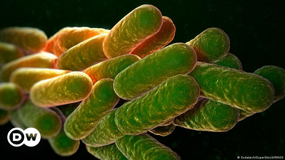 Wykryto bakterie amazońskie o właściwościach przeciwnowotworowych – DW – 18.03.2024