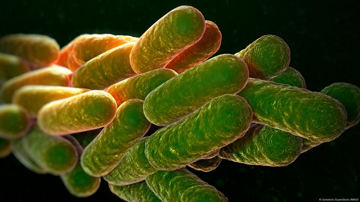 Hierbas con Propiedades Anticancerígenas: Un Enfoque Natural en la Lucha contra el Cáncer