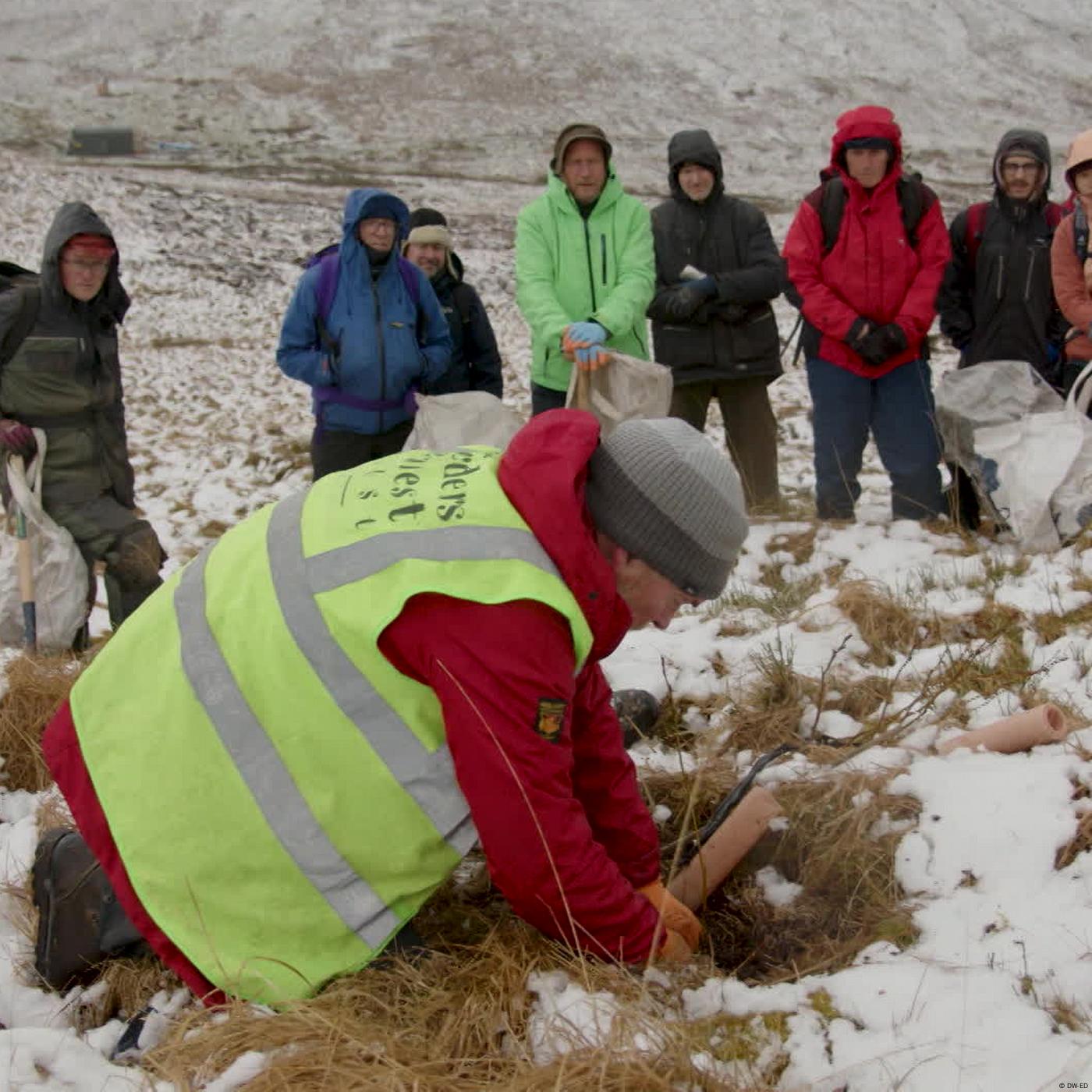 Escocia: más árboles para proteger el medio ambiente