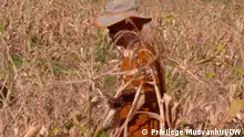 Autor: Privilege Musvanhiri - DW Korrespondent
Ort: Zimbabué
Thema: Zimbabwe: At least 2,7 million people face hunger due to severe drought
Keywords: Zimbabwe, hunger, threath, World Food Program, dry spell, El Nino
March 2024