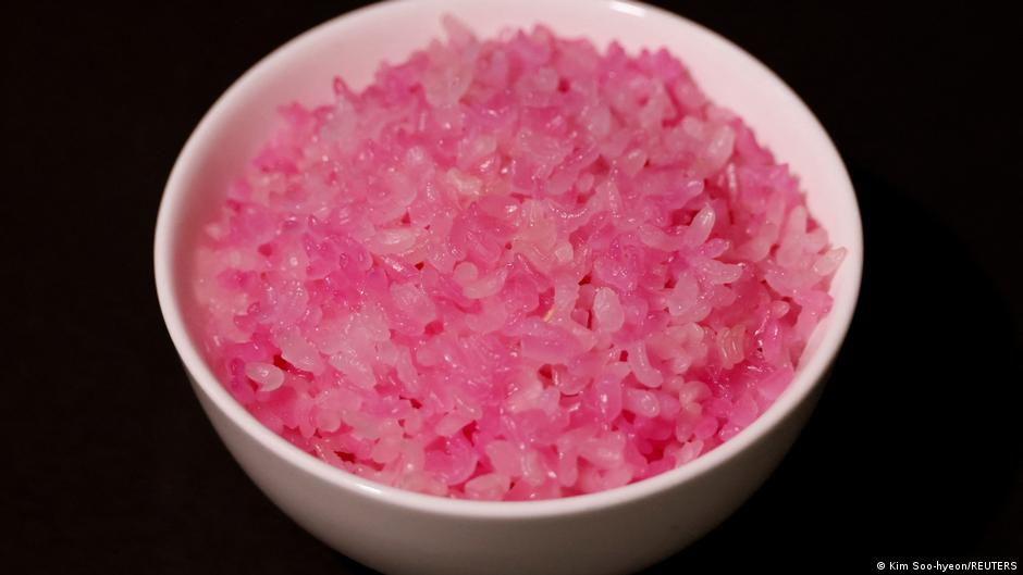 Would you eat lab-grown beef rice? – DW – 03/26/2024 - Vimarsana News