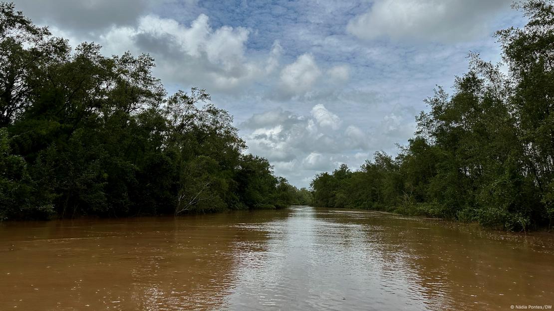 Vista do rio Amazonas