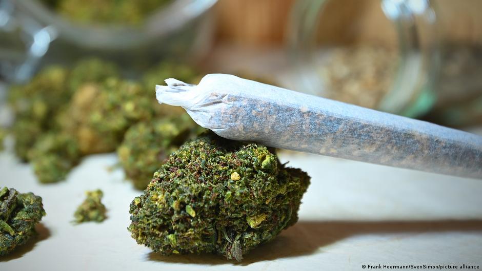 Germany's first year of legalized cannabis: Has it worked? – DW – 04/06/2025