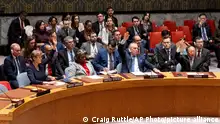 安理会通过加沙停火决议 各方反应如何？