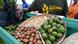 Mosambik Niassa | Macadamia-Produktion Mosambik Niassa | Macadamia-Produktion