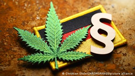 Cannabis-Clubs im Dschungel der Bürokratie