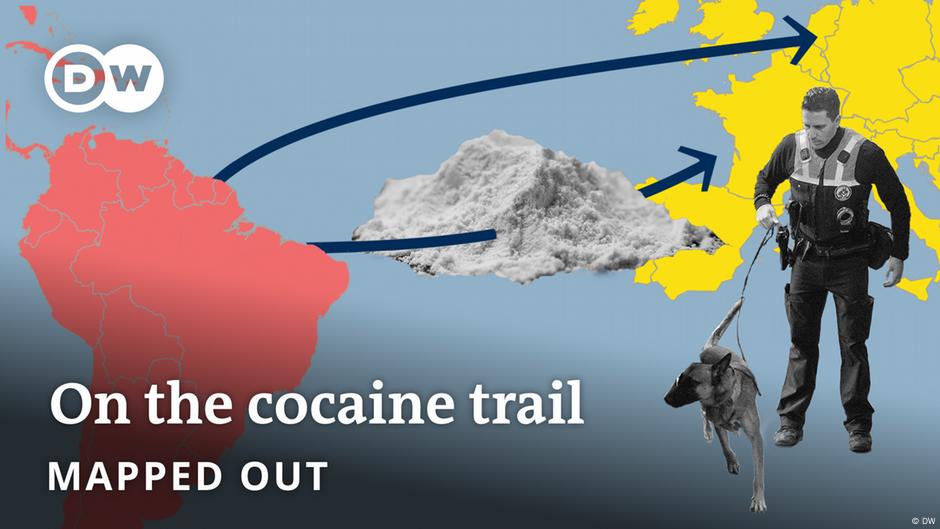 How Europe became addicted to cocaine – DW – 04/08/2024