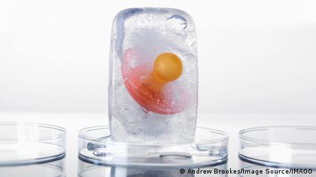 Tiefgefrorene Embryos: Fünf Fragen zu Kryotransfers