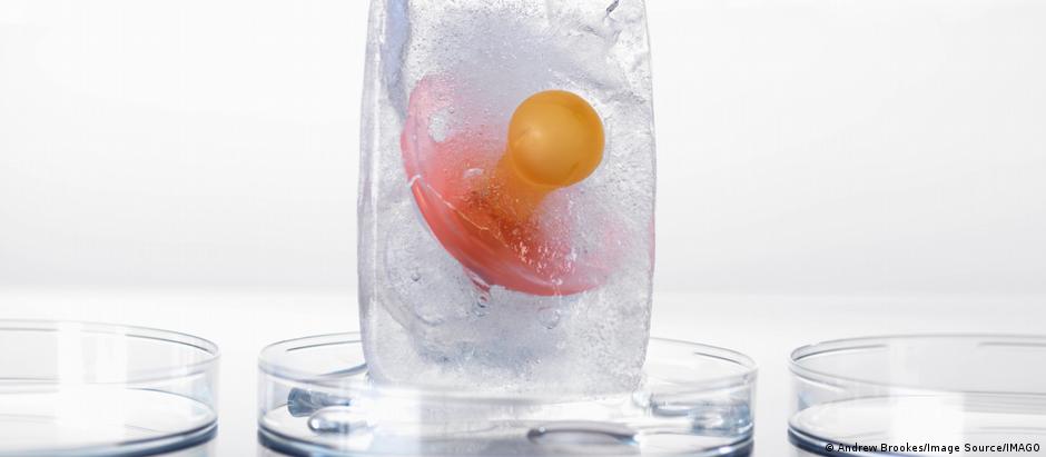 Transferência de embriões congelados tem se popularizado nas últimas décadas