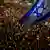 Bei Demonstrationen in Tel Aviv schwenken Menschen israelische Fahnen