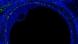 Imagen fluorescente de un folículo ovárico humano, captando durante un estudio espacial sus diversas zonas: el ovocito (pequeño óvalo), células hormonales, vasos sanguíneos, células inmunes y otros compartimentos. Imagen fluorescente de un folículo ovárico humano, captando durante un estudio espacial sus diversas zonas: el ovocito (pequeño óvalo), células hormonales, vasos sanguíneos, células inmunes y otros compartimentos.