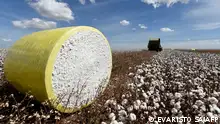 A combine harvests cotton in a field at Pamplona farm in Cristalina, Goias State, Central-West Brazil, on July 14, 2022. While Brazil is the world's fourth cotton producer and the second largest exporter only after the United States, it is the world leader in sustainable cotton production, with 84% of its produce being certified by the non-profit, multistakeholder governance group Better Cotton Initiative (BCI). (Photo by EVARISTO SA / AFP)