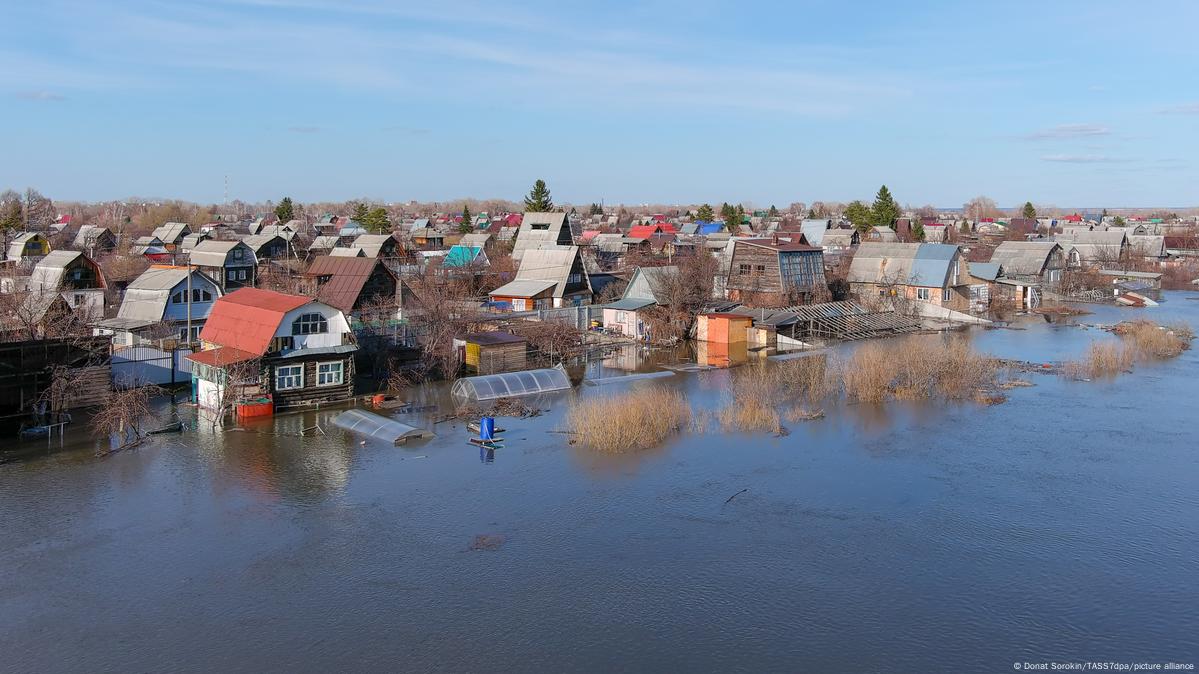 В Курганской области втрое возросло число затопленных домов – DW –  18.04.2024