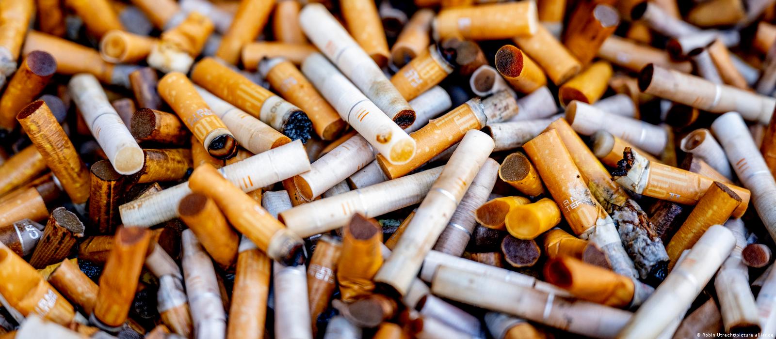 natural tobacco patches Influencers Are Spinning Nicotine as a 'Natural' Health Hack natural tobacco patches Influencers Are Spinning Nicotine as a 'Natural' Health Hack