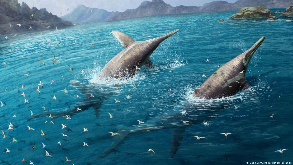 La ilustración muestra una pareja de nadadores "Ichthyotitan severnensis".